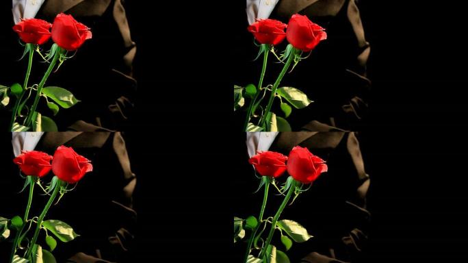 西装男子和两朵红玫瑰