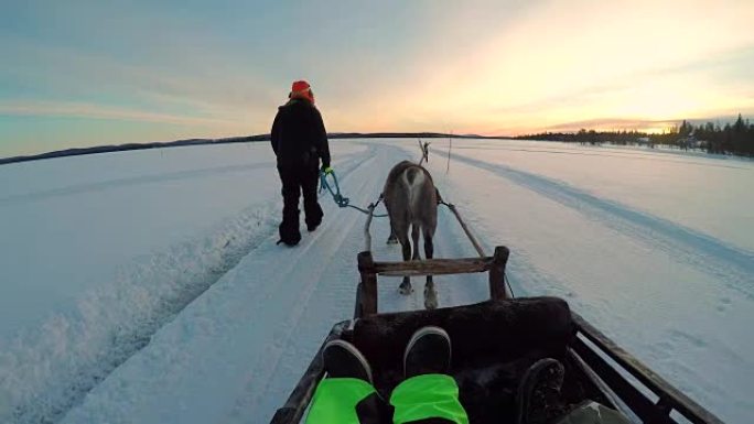 POV: 旅游指南带领鹿雪橇槽积雪覆盖拉普兰景观