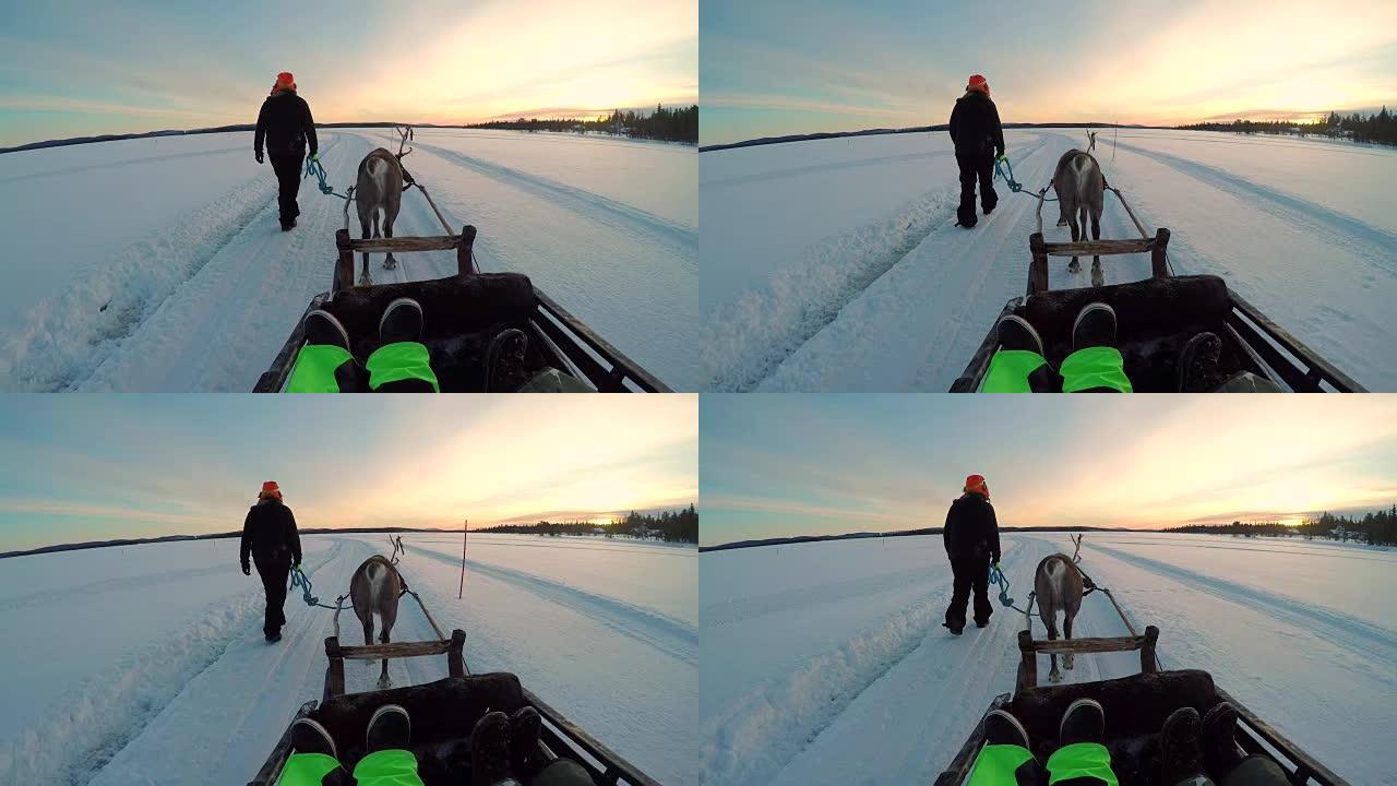 POV: 旅游指南带领鹿雪橇槽积雪覆盖拉普兰景观