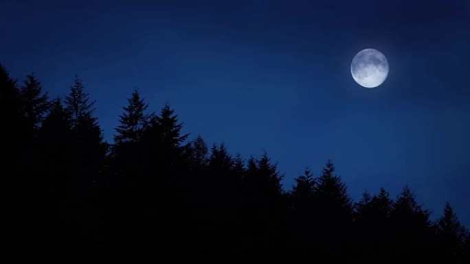 森林上空的满月