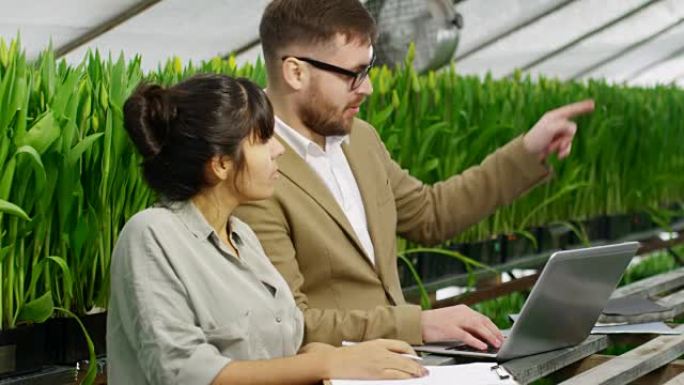 带笔记本电脑的商人在批发温室中选择鲜花