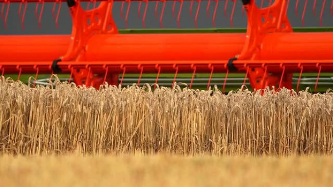 联合收割机收割麦田