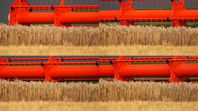 联合收割机收割麦田