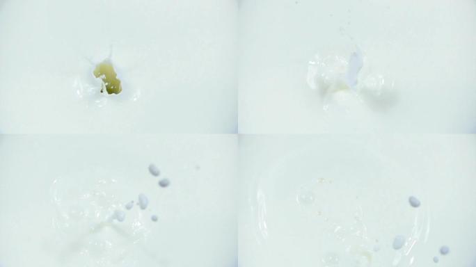 绿色葡萄的浆果在慢动作中落入新鲜的白色牛奶中