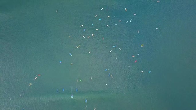 空中: 人们划着队伍，等待在阳光明媚的巴厘岛赶上海浪