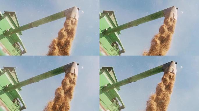 联合收割机溜槽在晴朗的蓝天下收割小麦，慢动作