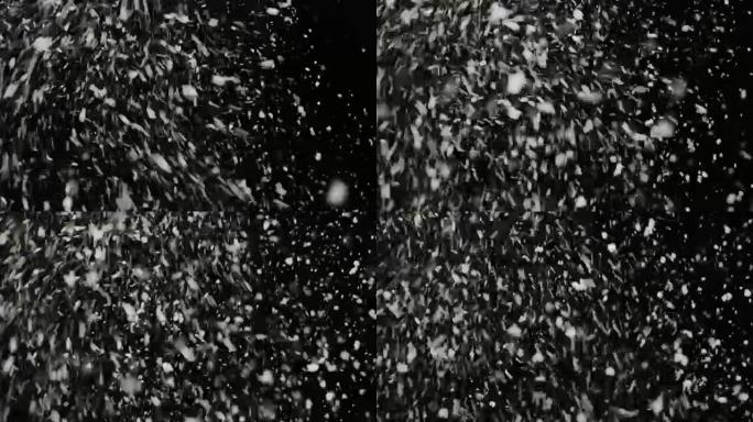 暴风雨的天气，雪花飘落，狂风的大雪花，孤立在黑色背景上。易于在混合/叠加模式下使用的真实镜头光斑。