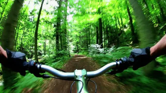 POV山地自行车穿越绿色森林真实镜头
