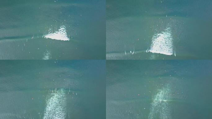 空中: 生动的冲浪板上的人群同时骑着泡沫波