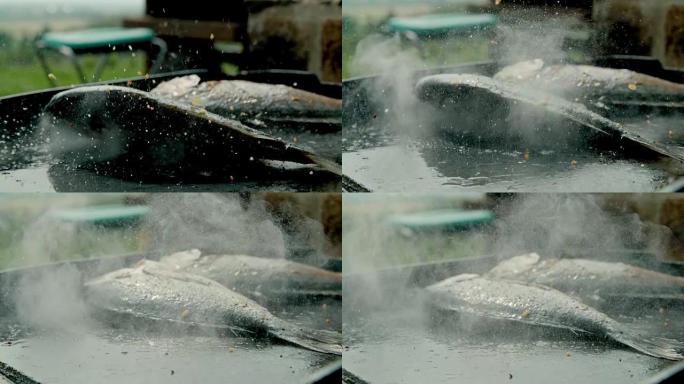 SLO MO在热板上烧烤填充鱼