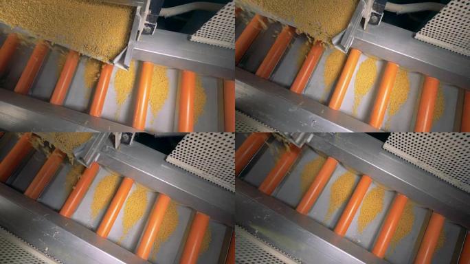 通心粉从金属托盘等量掉入输送机部分的俯视图。意大利面、通心粉、面条、意大利面生产线。
