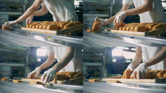 面包店包装线。工人把面包、面包放在传送带上。