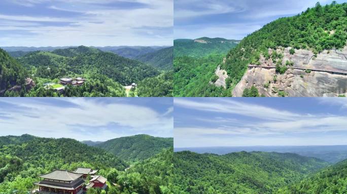 黄陵国家森林公园 夏日 郁郁葱葱 山间