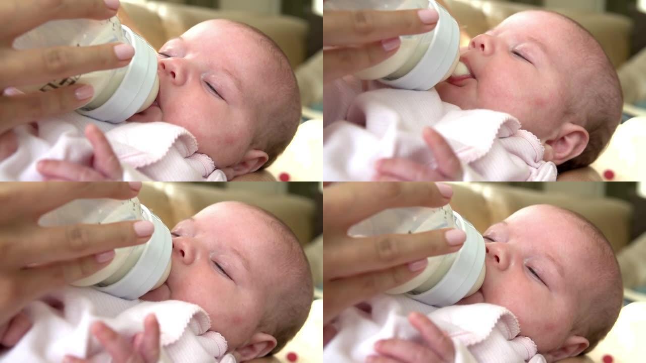 婴儿在托儿所从奶瓶中喂牛奶的特写