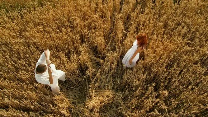 高清慢动作: 小麦夫妇