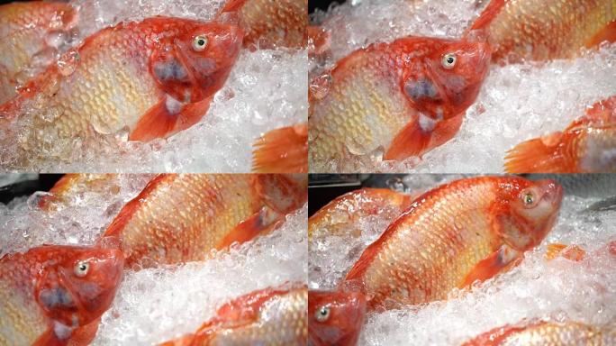泰国市场上的新鲜红色罗非鱼。