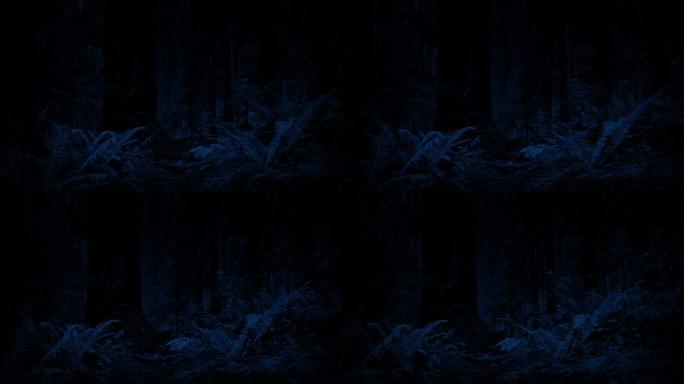 夜间穿越森林