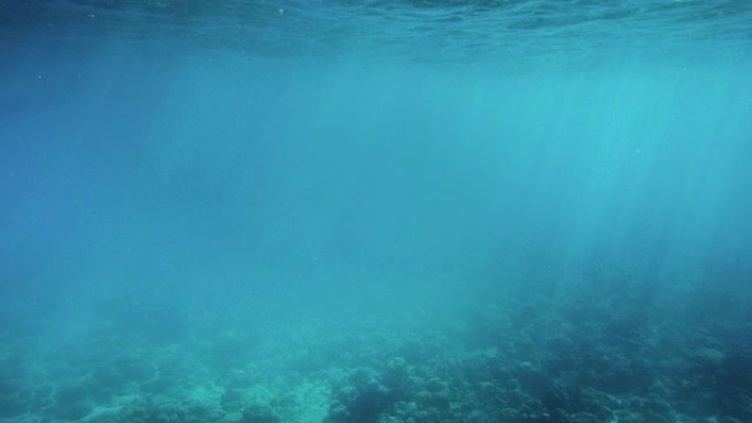 水下拍摄海洋生物、珊瑚礁、鱼类在美丽的海水中颜色的海蓝宝石。阳光照耀着。