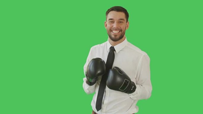 一个穿着衬衫和领带的英俊男子的中枪，穿着拳击手套进行淘汰赛，以获胜的姿态举起双手。背景是绿色屏幕。