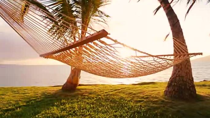 日落时的吊床和棕榈树美丽的太阳耀斑