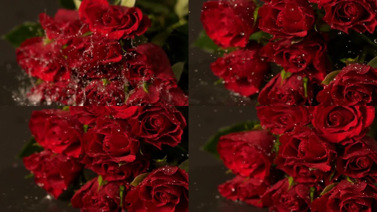 一束红玫瑰落在潮湿的表面上