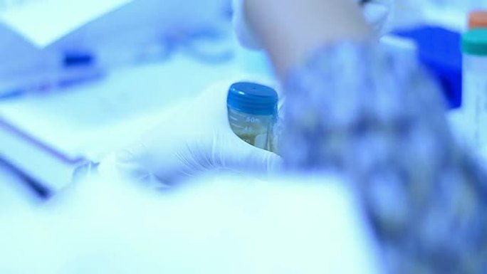科学家和生物实验室实验