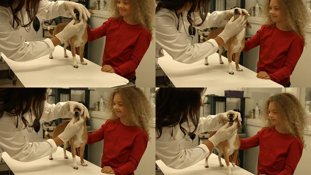兽医在她的办公室与年轻主人一起检查小狗