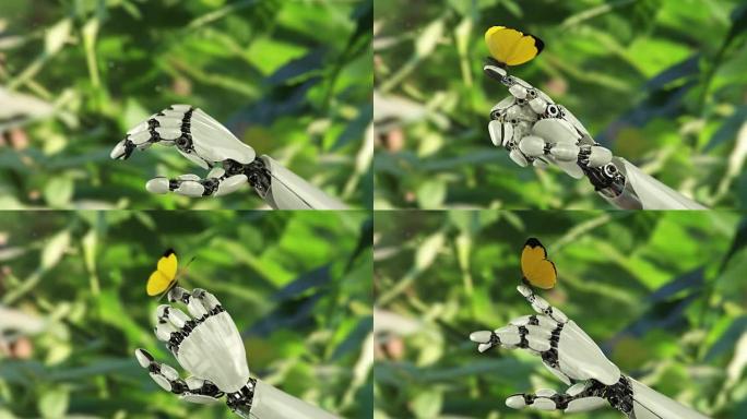 黄色蝴蝶落在机器人的手上