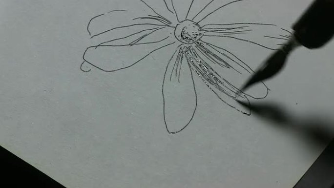花卉绘画钢笔画画
