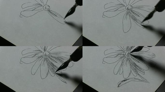 花卉绘画钢笔画画