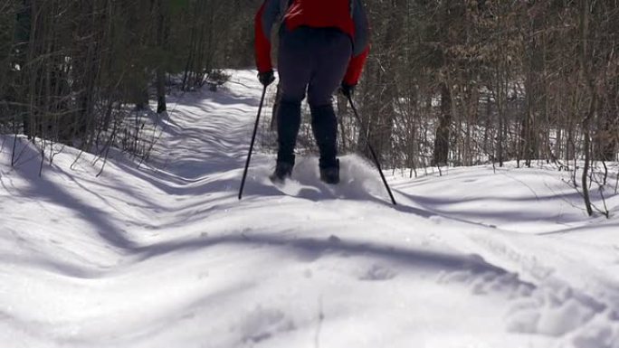 森林中的越野滑雪运动员