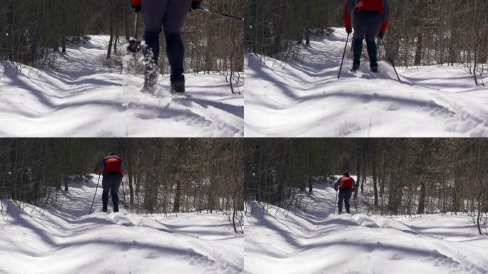 森林中的越野滑雪运动员