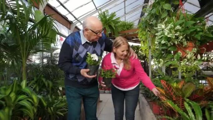 快乐的高级夫妇在vivarium购买植物选择微笑的植物