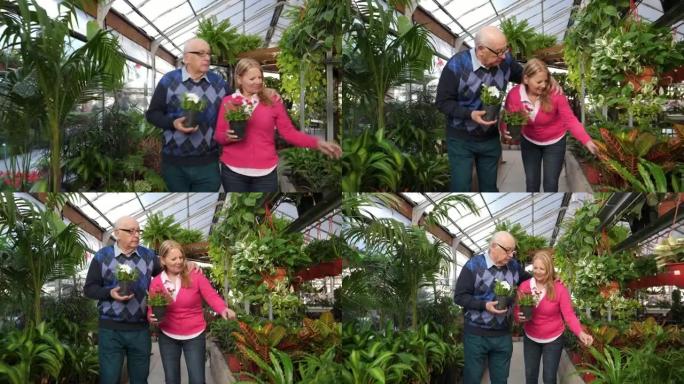 快乐的高级夫妇在vivarium购买植物选择微笑的植物