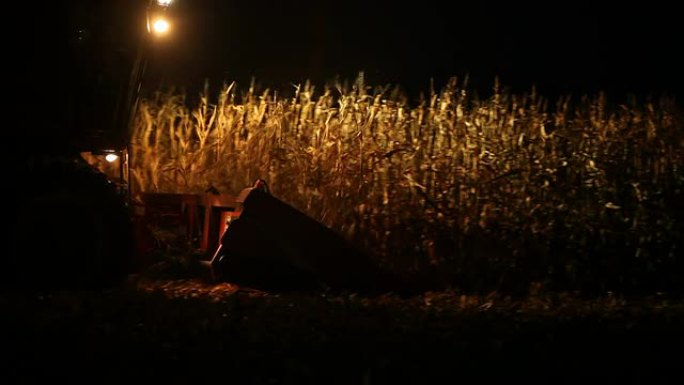 秋季玉米田夜间联合收割机收割
