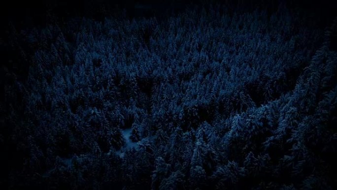 在黑暗中飞越白雪皑皑的森林