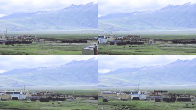 在路上 青藏高速 青藏公路 公路驰骋