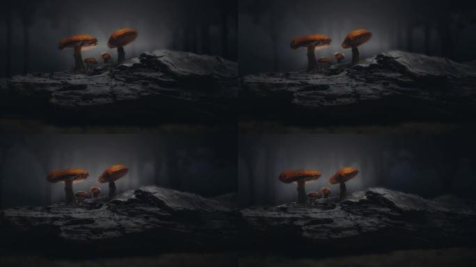 神秘森林/神奇蘑菇场景。