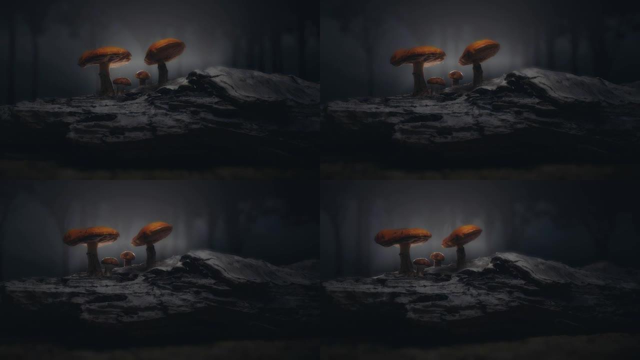神秘森林/神奇蘑菇场景。