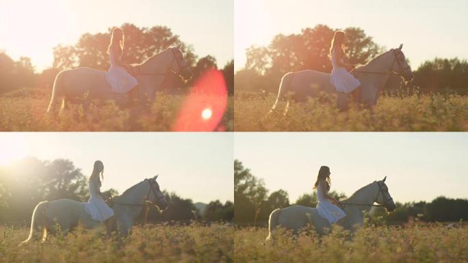慢动作: 美丽的女孩在日出时在盛开的粉红色田野中骑着白马