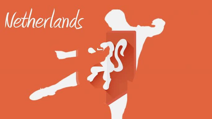 荷兰世界杯2014动画与球员