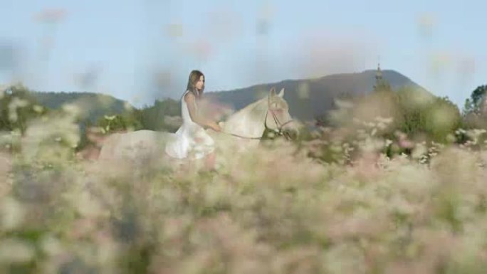 Dop: 穿着白色连衣裙的女孩在白色花田上骑着白马