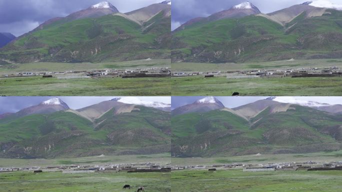 青藏高速 青藏公路 公路驰骋 公路奔驰