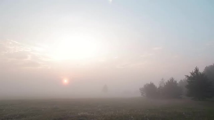 夏天早晨，雾蒙蒙的草地和树木上的日出时光倒流