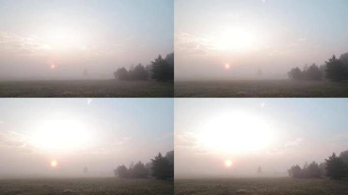 夏天早晨，雾蒙蒙的草地和树木上的日出时光倒流
