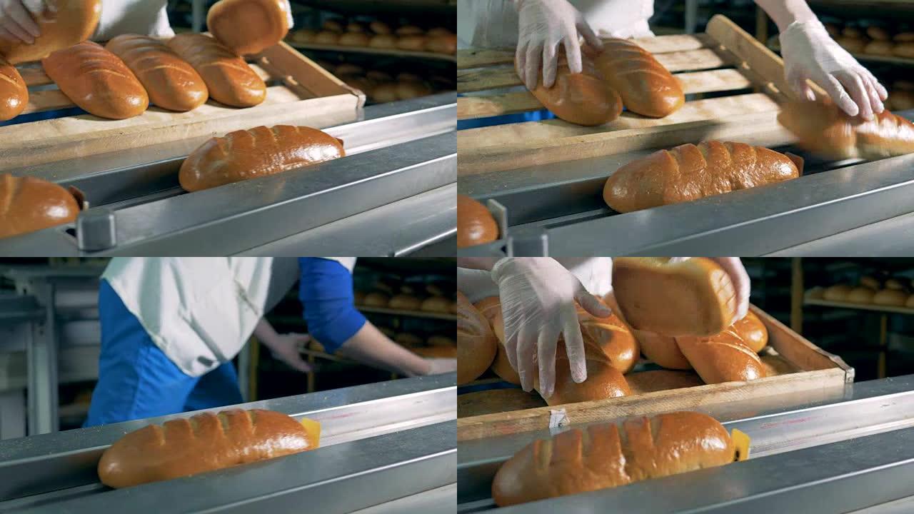 工人放新鲜面包。传送带上的长面包。4K。