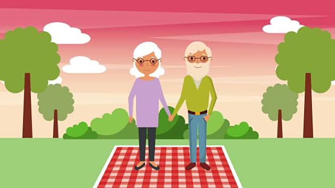 老年夫妇站在公园景观的毯子上