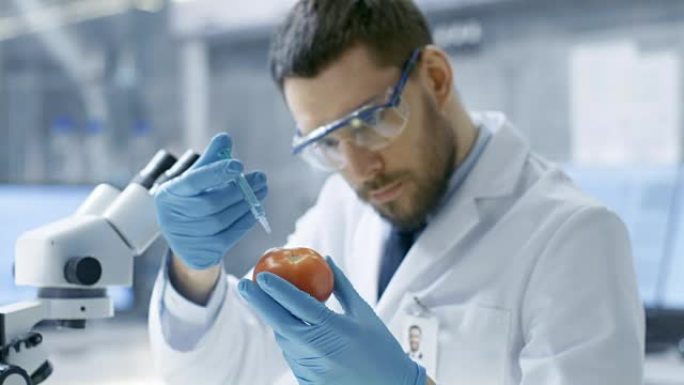 在现代实验室中，食品科学家用注射器注射番茄。他正在研究这种蔬菜的遗传修饰: 味道富集，寄生虫/抗寒性