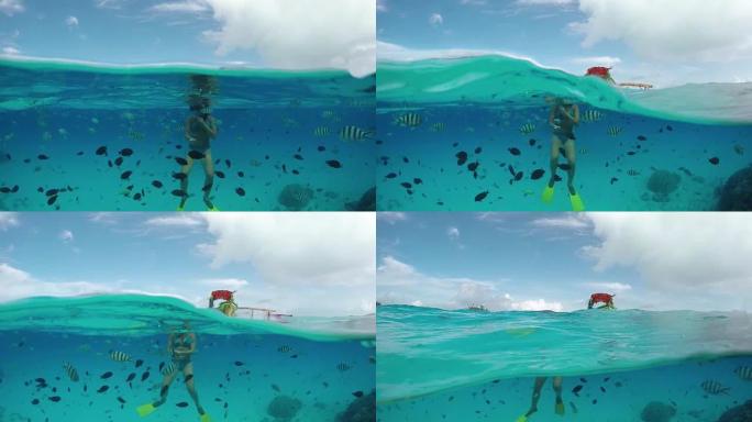 水下慢动作: 女人与热带鱼一起浮潜异国珊瑚礁