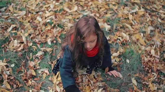 视点可爱的小女孩在秋季公园玩耍，坐在草地上扔出黄色的落叶全高清